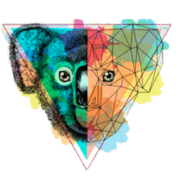 Koala Signals