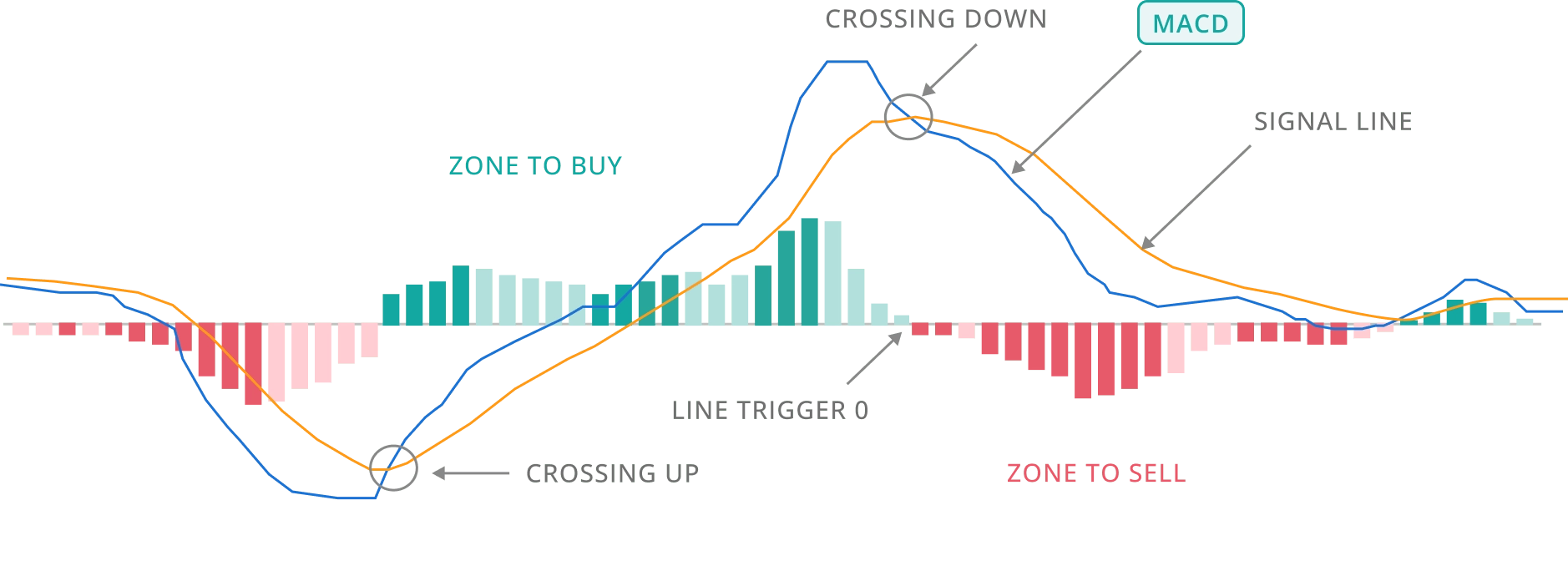 entry graph